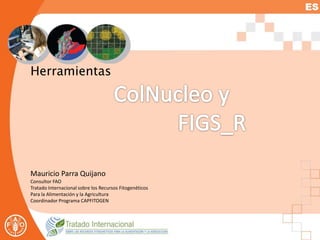 Herramientas
Mauricio Parra Quijano
Consultor FAO
Tratado Internacional sobre los Recursos Fitogenéticos
Para la Alimentación y la Agricultura
Coordinador Programa CAPFITOGEN
 