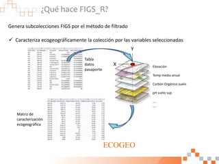 ¿Qué hace FIGS_R?
Genera subcolecciones FIGS por el método de filtrado
Matriz de
caracterización
ecogeográfica
Tabla
datos...