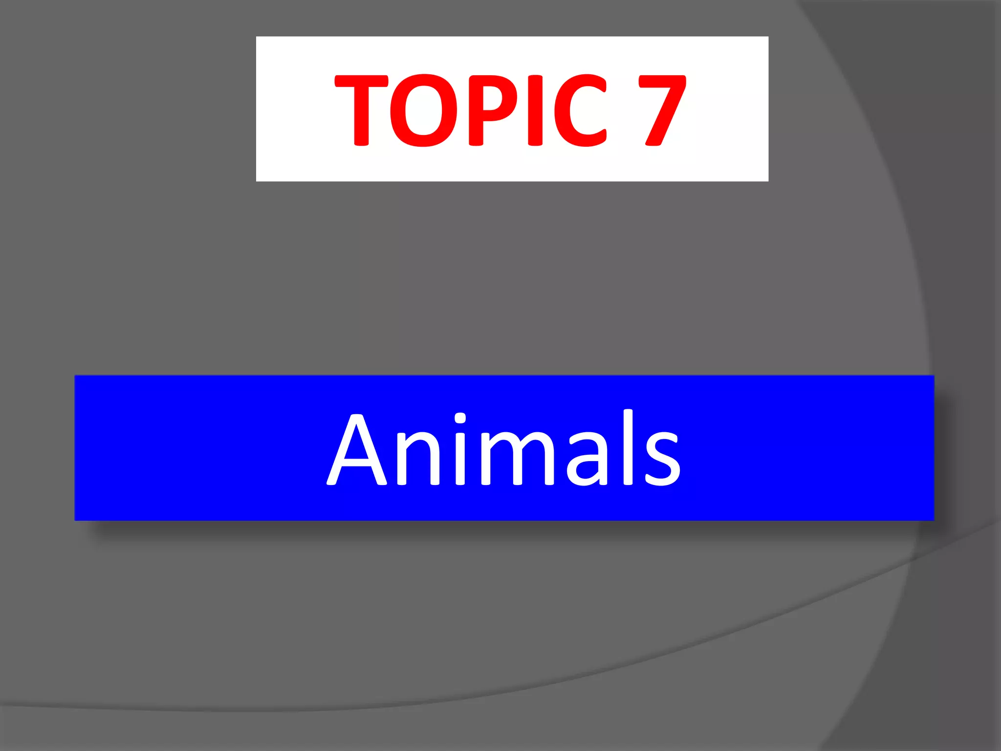 Animals - Animales | PPT | Free Download