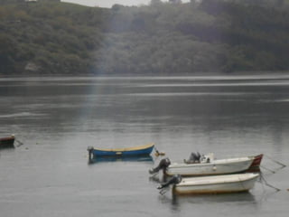 dia 7 queveda-comillas