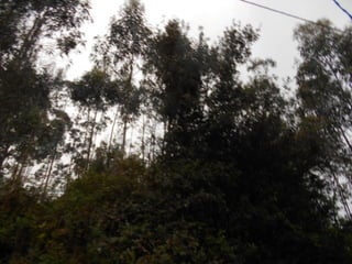 dia 7 queveda-comillas