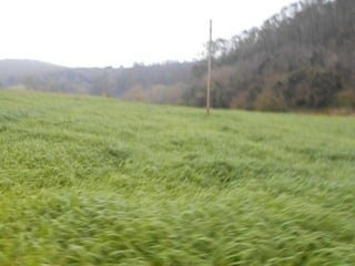 dia 7 queveda-comillas