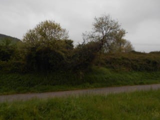 dia 7 queveda-comillas