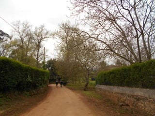 dia 7 queveda-comillas