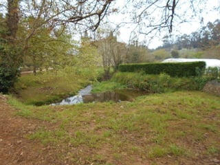 dia 7 queveda-comillas