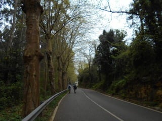 dia 7 queveda-comillas