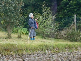 dia 7 queveda-comillas