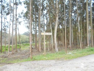 dia 7 queveda-comillas