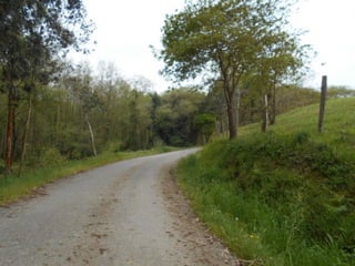 dia 7 queveda-comillas