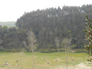 dia 7 queveda-comillas