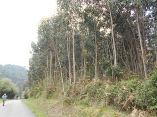 dia 7 queveda-comillas