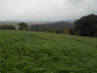 dia 7 queveda-comillas