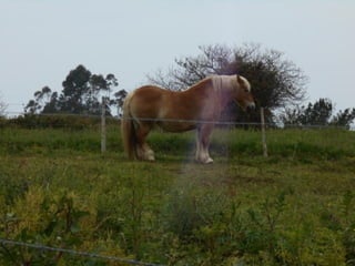 dia 7 queveda-comillas