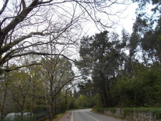 dia 7 queveda-comillas