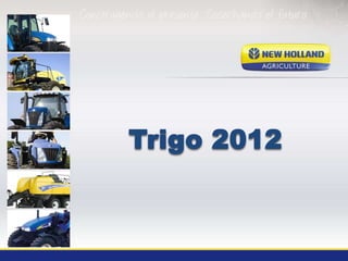 Trigo 2012



             1
 