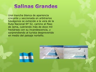 Una mancha blanca de apariencia
crocante y seccionada en arbitrarios
hexágonos se extiende a la vera de la
Ruta Nacional Nº 52, camino al Paso
de Jama, cubriendo más de doce mil
hectáreas con su incandescencia, y
sorprendiendo al turista desprevenido
en medio del paisaje norteño.
 