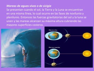 Mareas de aguas vivas o de sicigia
Se presentan cuando el sol, la Tierra y la Luna se encuentran
en una misma línea, lo cual ocurre en las fases de novilunio y
plenilunio. Entonces las fuerzas gravitatorias del sol y la luna se
unen y las mareas alcanzan su máxima altura cubriendo las
mayores superficies costeras.
 