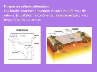 Formas de relieve submarino
Los fondos marinos presentan desniveles o formas de
relieve: la plataforma continental, la zona pelágica y las
fosas abisales o marinas.
 