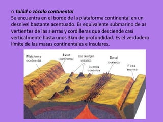 o Talúd o zócalo continental
Se encuentra en el borde de la plataforma continental en un
desnivel bastante acentuado. Es equivalente submarino de as
vertientes de las sierras y cordilleras que desciende casi
verticalmente hasta unos 3km de profundidad. Es el verdadero
límite de las masas continentales e insulares.
 