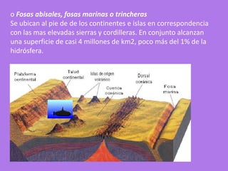 o Fosas abisales, fosas marinas o trincheras
Se ubican al pie de de los continentes e islas en correspondencia
con las mas elevadas sierras y cordilleras. En conjunto alcanzan
una superficie de casi 4 millones de km2, poco más del 1% de la
hidrósfera.
 