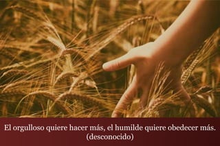 El orgulloso quiere hacer más, el humilde quiere obedecer más.
(desconocido)
 