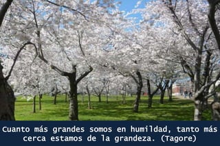 Cuanto más grandes somos en humildad, tanto más
cerca estamos de la grandeza. (Tagore)
 