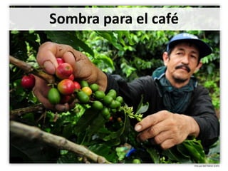 Presentación a. jarvis casa abierta ciat 2013