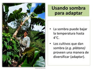 Presentación a. jarvis casa abierta ciat 2013