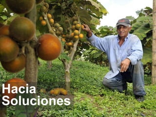 Presentación a. jarvis casa abierta ciat 2013