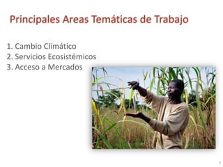 Presentación a. jarvis casa abierta ciat 2013