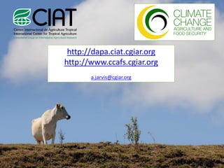 Presentación a. jarvis casa abierta ciat 2013