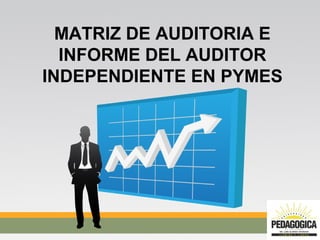 MATRIZ DE AUDITORIA E
INFORME DEL AUDITOR
INDEPENDIENTE EN PYMES

 