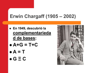 Erwin Chargaff (1905 – 2002)En 1949, descubrió lacomplementariedad de bases:A+G = T+CA = TG Ξ C