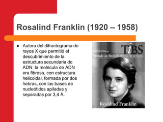 Rosalind Franklin (1920 – 1958)Autora del difractograma de rayos X que permitió el descubrimiento de la estructura secundaria do ADN: la molécula de ADN era fibrosa, con estructura helicoidal, formada por dos hebras, con las bases de nucleótidos apiladas y separadas por 3,4 Å.