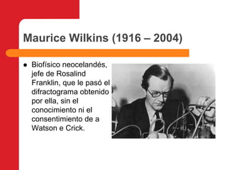 Maurice Wilkins (1916 – 2004)Biofísico neocelandés, jefe de Rosalind Franklin, que le pasó el  difractograma obtenido por ella, sin el conocimiento ni el consentimiento de a Watson e Crick.