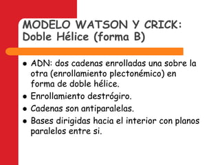 MODELO WATSON Y CRICK:Doble Hélice (forma B)ADN: dos cadenas enrolladas una sobre la otra (enrollamiento plectonémico) en forma de doble hélice.Enrollamiento destrógiro.Cadenas son antiparalelas.Bases dirigidas hacia el interior con planos paralelos entre si.
