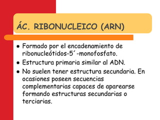 ÁC. RIBONUCLEICO (ARN)Formado por el encadenamiento de ribonucleótidos-5´-monofosfato.Estructura primaria similar al ADN.No suelen tener estructura secundaria. En ocasiones poseen secuencias complementarias capaces de aparearse formando estructuras secundarias o terciarias.