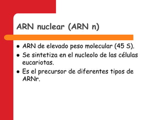 ARN nuclear (ARN n)ARN de elevado peso molecular (45 S).Se sintetiza en el nucleolo de las células eucariotas.Es el precursor de diferentes tipos de ARNr.