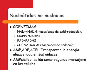 Nucleótidos no nucleicosCOENZIMAS: NAD+/NADH: reacciones de oxid-reducción.NADP+/NADPHFAD/FADH2COENZIMA A: reacciones de acilación.AMP,ADP,ATP:  Transportan la energía almacenada en sus enlaces.AMPcíclico: actúa como segundo mensajero en las células.