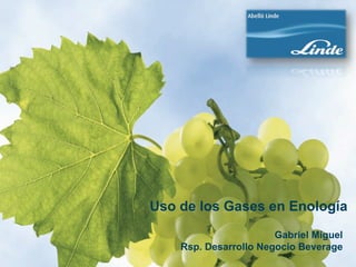 Uso de los Gases en Enología
                       Gabriel Miguel
    Rsp. Desarrollo Negocio Beverage
 