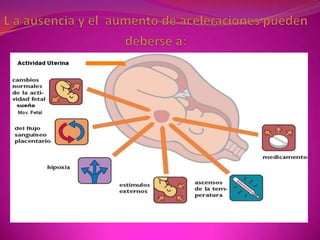 More Garavito, Marianela