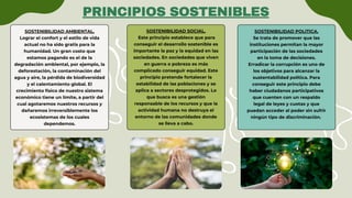 SOSTENIBILIDAD AMBIENTAL.
Lograr el confort y el estilo de vida
actual no ha sido gratis para la
humanidad. Un gran costo que
estamos pagando es el de la
degradación ambiental, por ejemplo, la
deforestación, la contaminación del
agua y aire, la pérdida de biodiversidad
y el calentamiento global. El
crecimiento físico de nuestro sistema
económico tiene un límite, a partir del
cual agotaremos nuestros recursos y
dañaremos irreversiblemente los
ecosistemas de los cuales
dependemos.
SOSTENIBILIDAD SOCIAL.
Este principio establece que para
conseguir el desarrollo sostenible es
importante la paz y la equidad en las
sociedades. En sociedades que viven
en guerra o pobreza es más
complicado conseguir equidad. Este
principio pretende fortalecer la
estabilidad de las poblaciones y se
aplica a sectores desprotegidos. Lo
que busca es una gestión
responsable de los recursos y que la
actividad humana no destruya el
entorno de las comunidades donde
se lleva a cabo.
SOSTENIBILIDAD POLITICA.
Se trata de promover que las
instituciones permitan la mayor
participación de las sociedades
en la toma de decisiones.
Erradicar la corrupción es uno de
los objetivos para alcanzar la
sustentabilidad política. Para
conseguir este principio debe
haber ciudadanos participativos
que cuenten con un respaldo
legal de leyes y cuotas y que
puedan acceder al poder sin sufrir
ningún tipo de discriminación.
PRINCIPIOS SOSTENIBLES
 