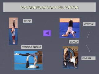 POSICIONES BASICAS DEL PORTOR



 DE PIE
                                 VENTRAL




                        BANCO

TENDIDO SUPINO




                                DORSAL
 