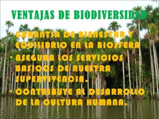 VENTAJAS DE BIODIVERSIDAD
• GARANTIA DE BIENESTAR Y
  EQUILIBRIO EN LA BIOSFERA
• ASEGURA LOS SERVICIOS
  BASICOS DE NUESTRA
  SUPERVIVENCIA.
• CONTRIBUYE AL DESARROLLO
  DE LA CULTURA HUMANA.
 