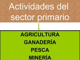 Actividades del
sector primario
AGRICULTURA
GANADERÍA
PESCA
MINERÍA

 
