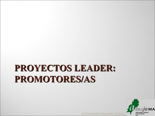 PROYECTOS LEADER:PROYECTOS LEADER:
PROMOTORES/ASPROMOTORES/AS
ACTIVIDADES AGUJAMA 2013/14
 