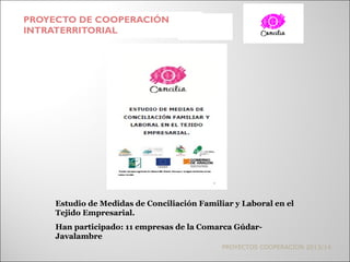 PROYECTO DE COOPERACIÓN
INTRATERRITORIAL
PROYECTOS COOPERACIÓN 2013/14
Estudio de Medidas de Conciliación Familiar y Laboral en el
Tejido Empresarial.
Han participado: 11 empresas de la Comarca Gúdar-
Javalambre
 
