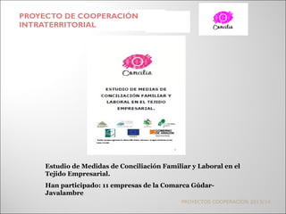 PROYECTO DE COOPERACIÓN
INTRATERRITORIAL
PROYECTOS COOPERACIÓN 2013/14
Estudio de Medidas de Conciliación Familiar y Labor...