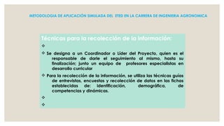 METODOLOGIA DE APLICACIÓN SIMULADA DEL ETED EN LA CARRERA DE INGENIERIA AGRONOMICA

Técnicas para la recolección de la información:
v
v Se designa a un Coordinador o Líder del Proyecto, quien es el
responsable de darle el seguimiento al mismo, hasta su
finalización; junto un equipo de profesores especialistas en
desarrollo curricular
v Para la recolección de la información, se utiliza las técnicas guías
de entrevistas, encuestas y recolección de datos en las fichas
establecidas de: identificación,
demográfica,
de
competencias y dinámicas.
v
v

 