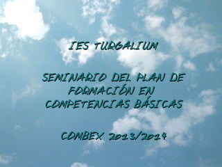 IES TURGALIUMIES TURGALIUM
SEMINARIO DEL PLAN DESEMINARIO DEL PLAN DE
FORMACIÓN ENFORMACIÓN EN
COMPETENCIAS BÁSICASCOMPETENCIAS BÁSICAS
COMBEX 2013/2014COMBEX 2013/2014
 